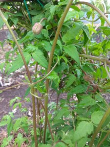 IMG_20190517_133804.jpg