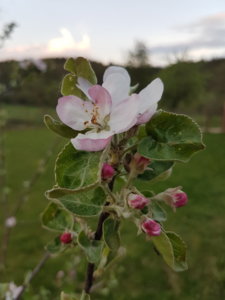 20190512_203333.jpg
