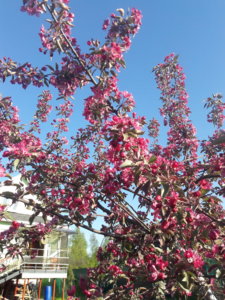20190517_185801.jpg