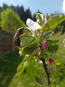 20190513_123722.jpg
