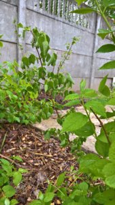 WP_20190527_11_53_19_Pro_LI.jpg