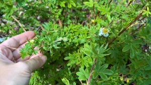 WP_20190527_13_16_19_Pro_LI.jpg