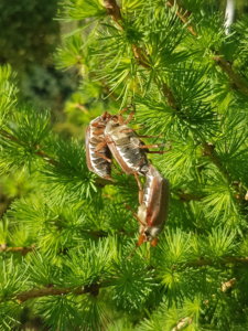 20190519_072304.jpg
