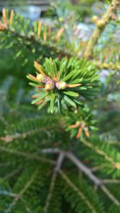 WP_20190528_08_15_07_Pro_LI.jpg