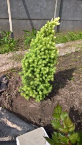 WP_20190528_08_20_34_Pro_LI.jpg