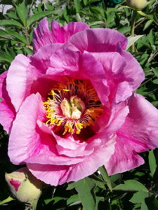 20190601_102313.jpg