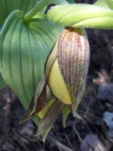 20190601_102619.jpg