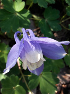 20190601_102922.jpg