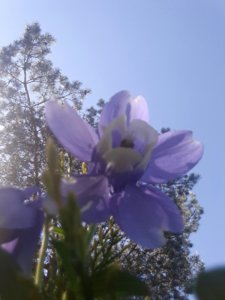 20190601_180215.jpg