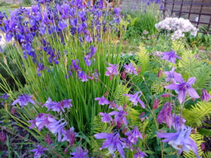 IMG_20190601_201307.jpg