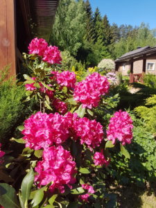 20190531_095127.jpg