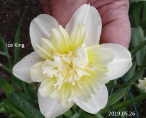 20190526 Ice King _ф_ 125915.jpg