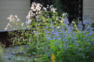 IMG_6169.JPG