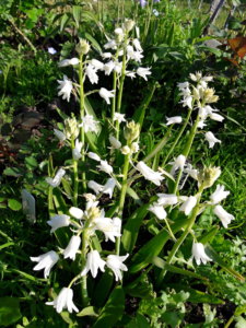 20190606_073455.jpg