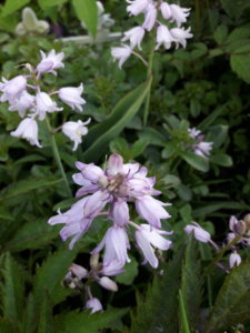 20190606_073704.jpg
