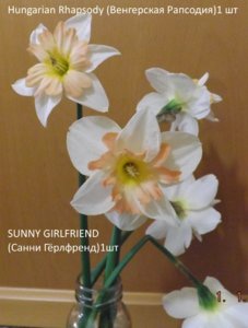 2019.06.05 Срезанные. Narcissus Hungarian Rhapsody 1 шт, SUNNY GIRLFRIEND  1шт_ф_  DSCF3736.jpg