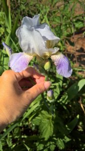 WP_20190607_08_45_13_Pro_LI.jpg