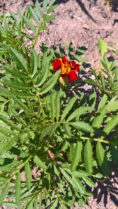 WP_20190607_09_00_15_Pro_LI.jpg