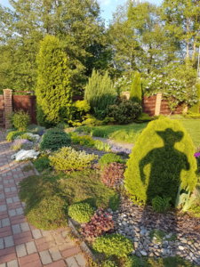 20190525_193517.jpg