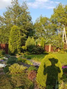 20190525_193118.jpg