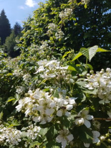 20190602_145128.jpg