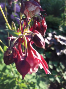 20190609_204442.jpg