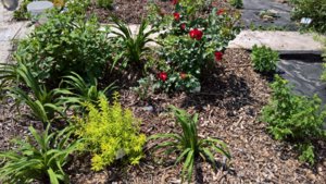 WP_20190611_11_03_39_Pro_LI.jpg