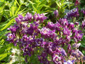 DSCN0178.JPG