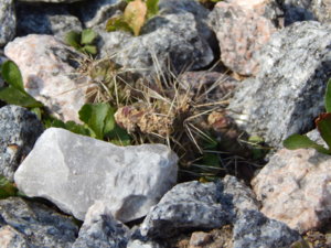 DSCN9601.JPG