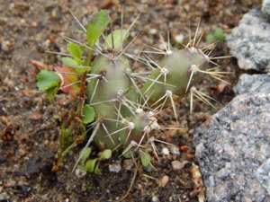 DSCN9850.JPG