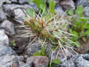 DSCN0276.JPG