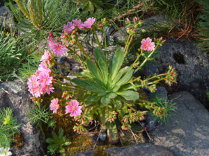 DSCN0164.JPG