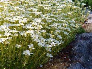 DSCN0162.JPG