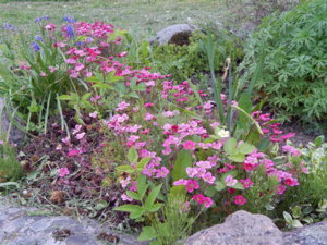 DSCN0035.JPG