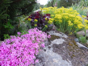 DSCN0070.JPG