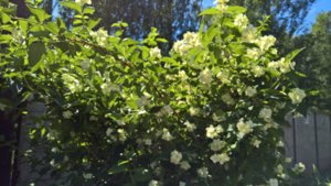 WP_20190613_13_27_55_Pro_LI.jpg