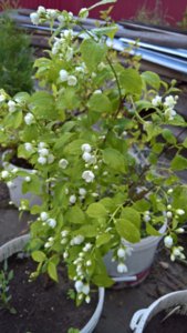 WP_20190616_20_09_14_Pro_LI.jpg