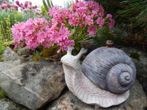 DSCN0437.JPG