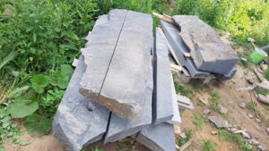 20190620_102105.jpg