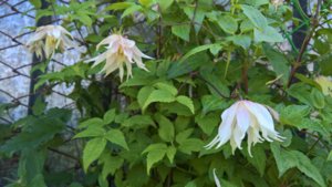 WP_20190620_10_01_12_Pro.jpg