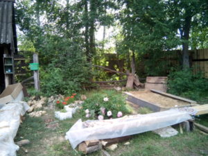 IMG_20190616_153838.jpg