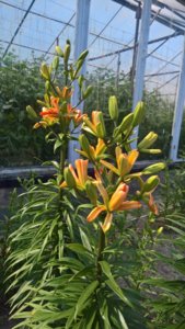 WP_20190622_14_21_18_Pro_LI.jpg