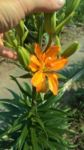 WP_20190622_14_21_39_Pro_LI.jpg