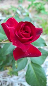 WP_20190624_10_23_15_Pro_LI.jpg