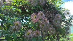 WP_20190625_14_09_56_Pro_LI.jpg