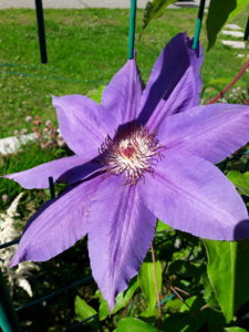 20190625_100941.jpg