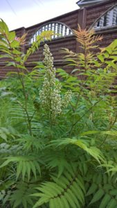 WP_20190627_14_45_47_Pro_LI.jpg