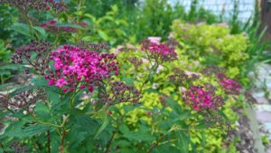 WP_20190626_11_40_35_Pro_LI.jpg