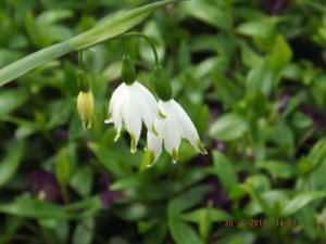 2019.06.30 _ DSCF3942.JPG