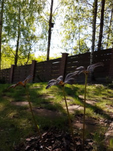20170525_085428.jpg